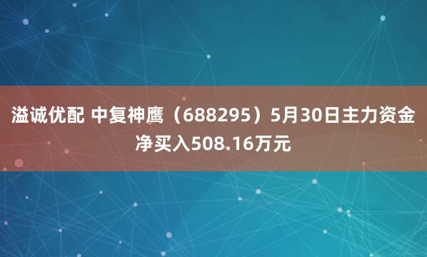 溢诚优配 中复神鹰（688295）5月30日主力资金净买入508.16万元
